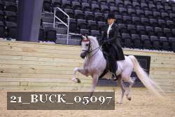 21_BUCK_05097 proof