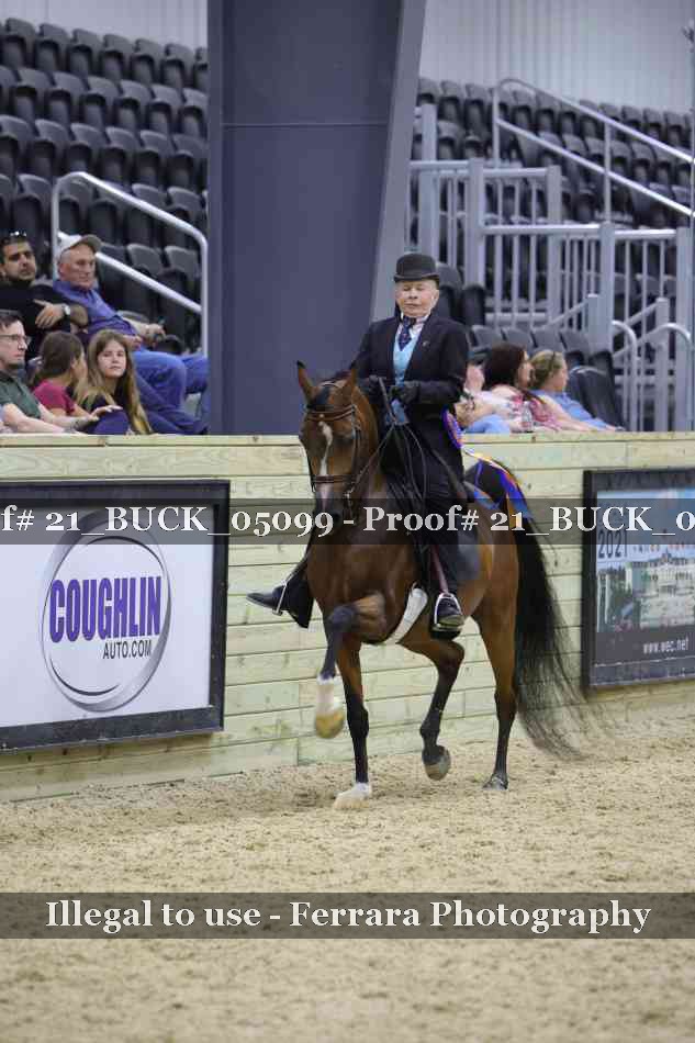 Proof 21_BUCK_05099