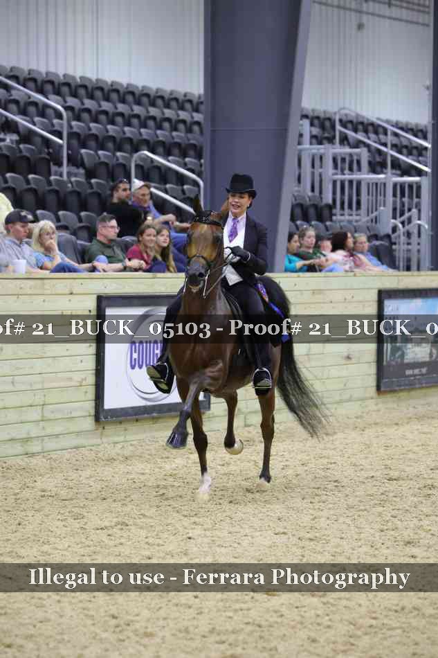 Proof 21_BUCK_05103