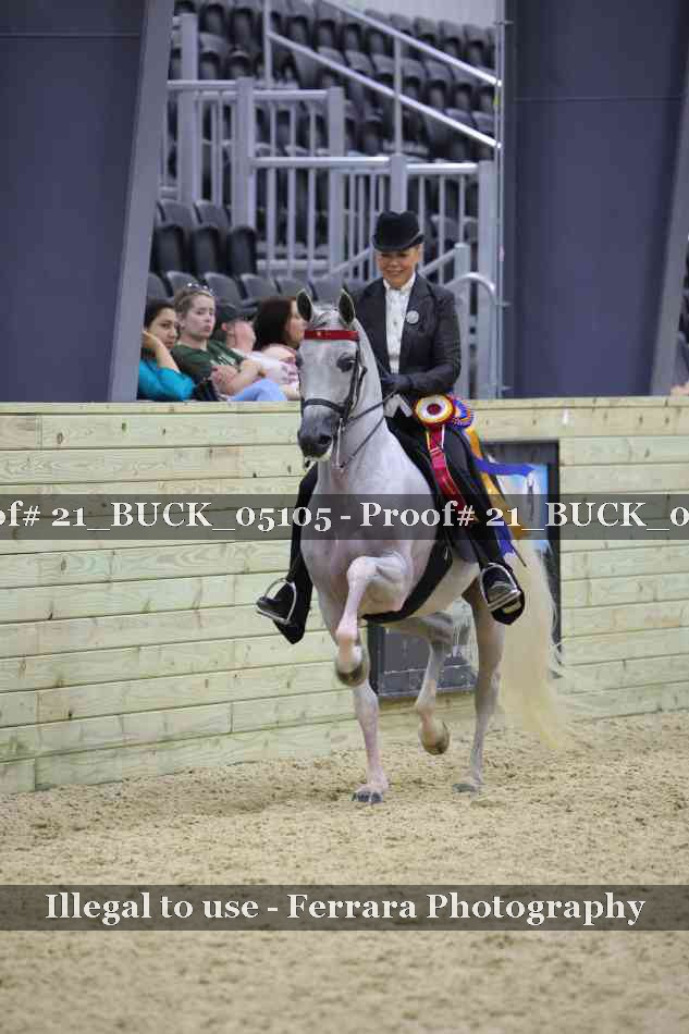 Proof 21_BUCK_05105