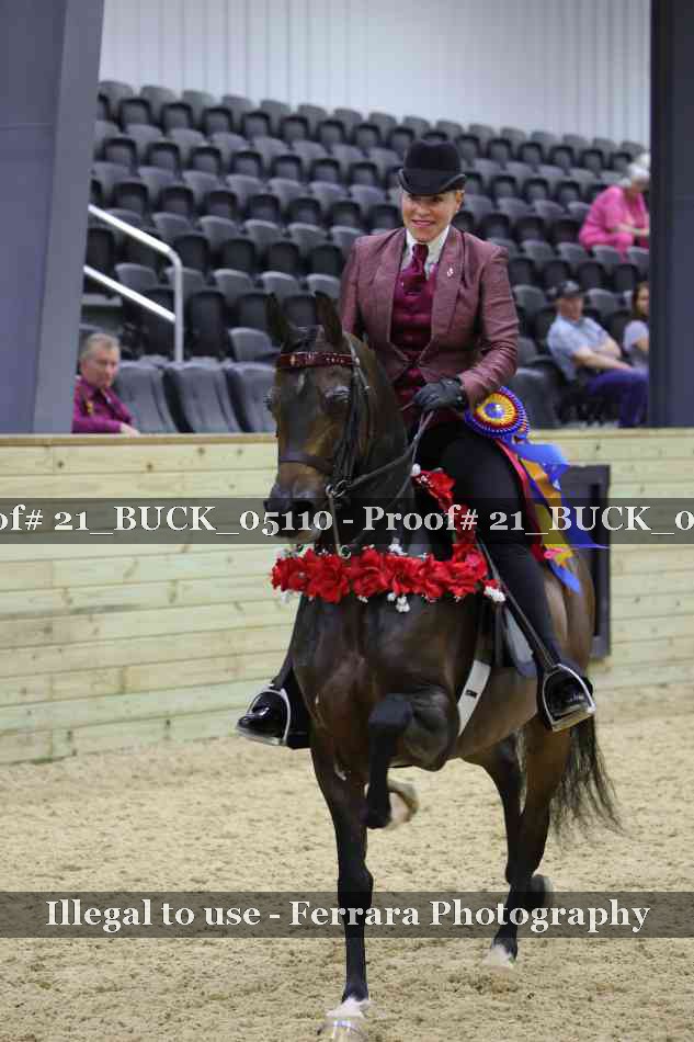 Proof 21_BUCK_05110