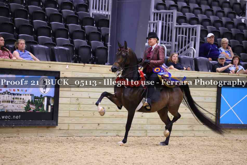 Proof 21_BUCK_05113