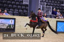 21_BUCK_05113 proof