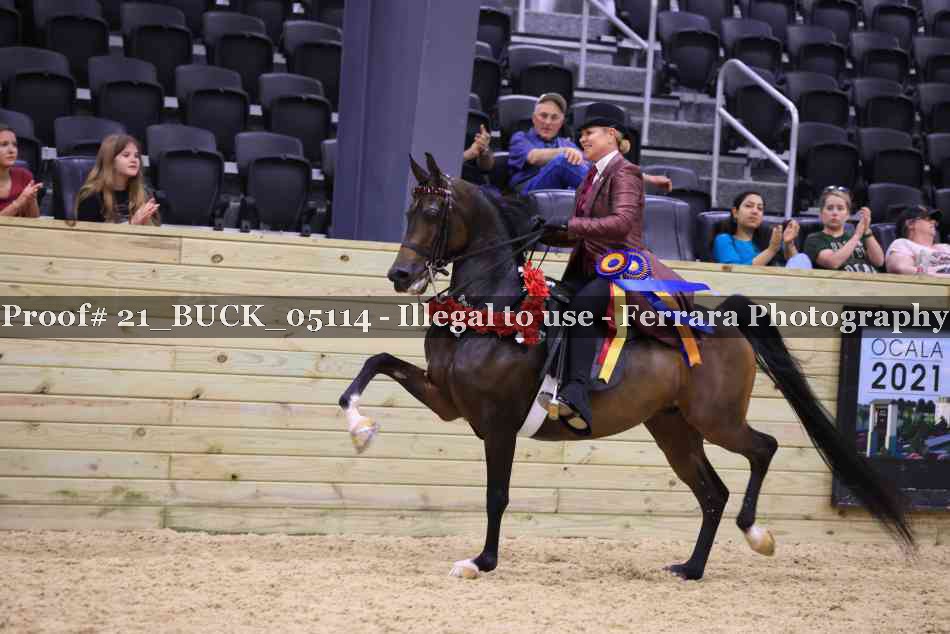 Proof 21_BUCK_05114