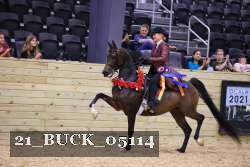 21_BUCK_05114 proof