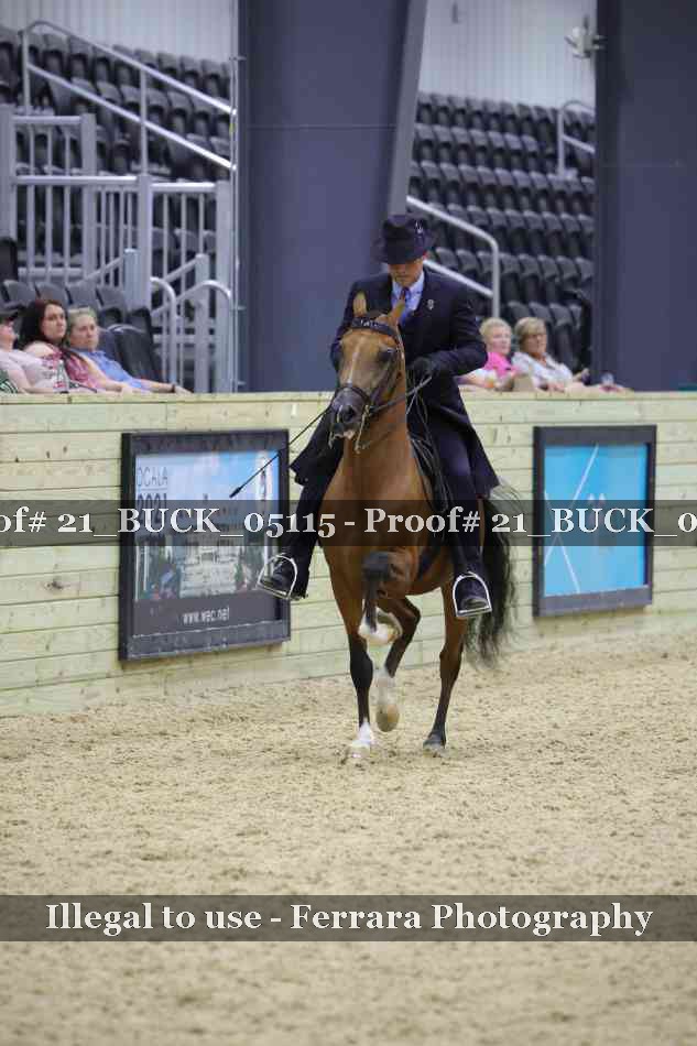 Proof 21_BUCK_05115