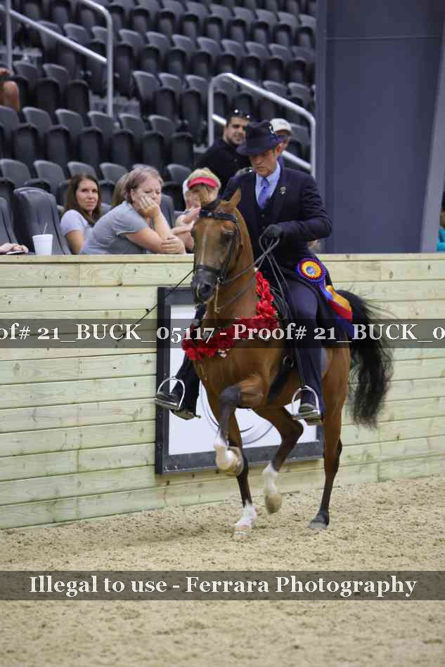 Proof 21_BUCK_05117
