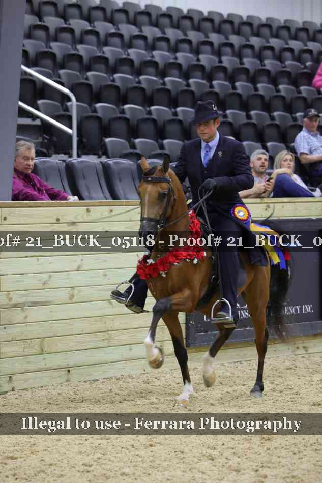 Proof 21_BUCK_05118