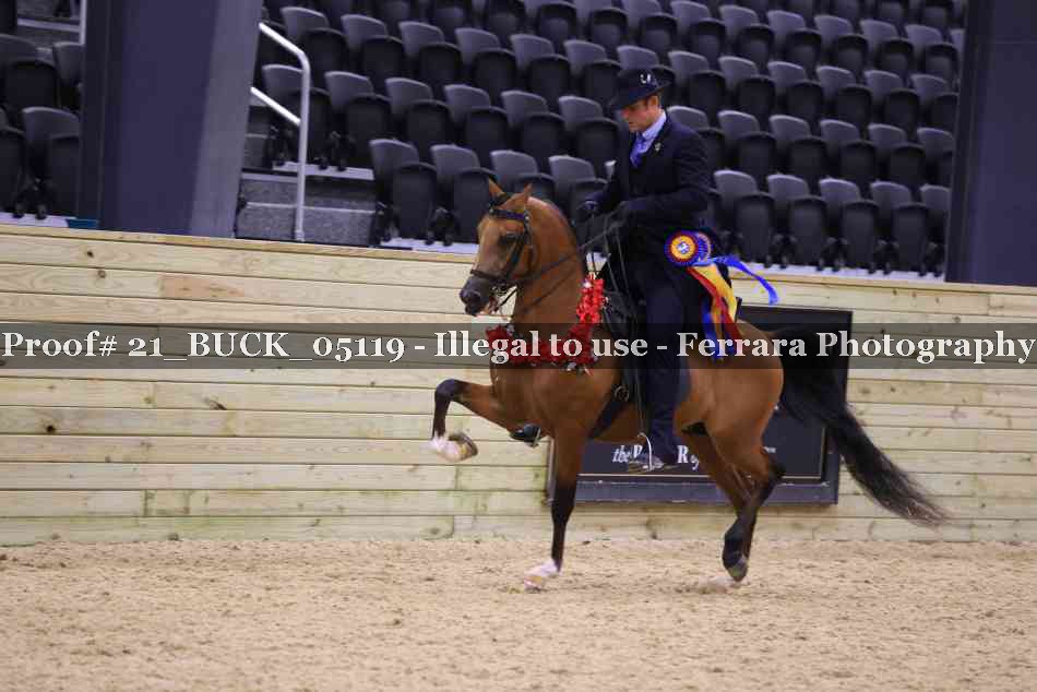 Proof 21_BUCK_05119
