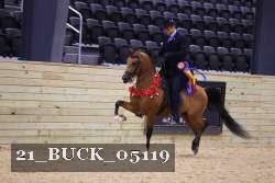 21_BUCK_05119 proof