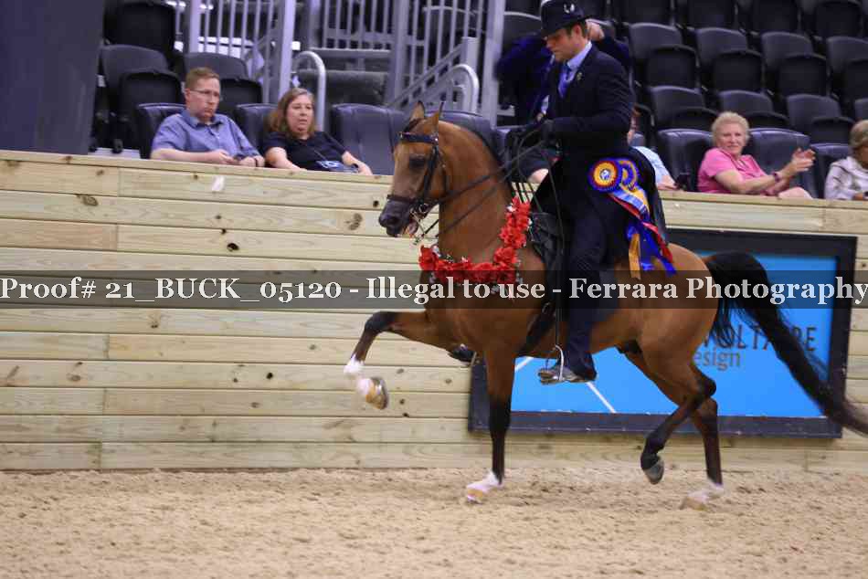 Proof 21_BUCK_05120