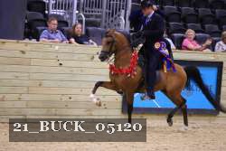 21_BUCK_05120 proof