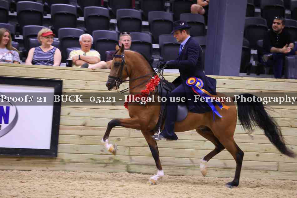 Proof 21_BUCK_05121