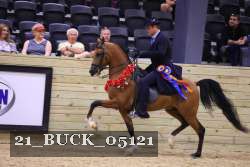 21_BUCK_05121 proof