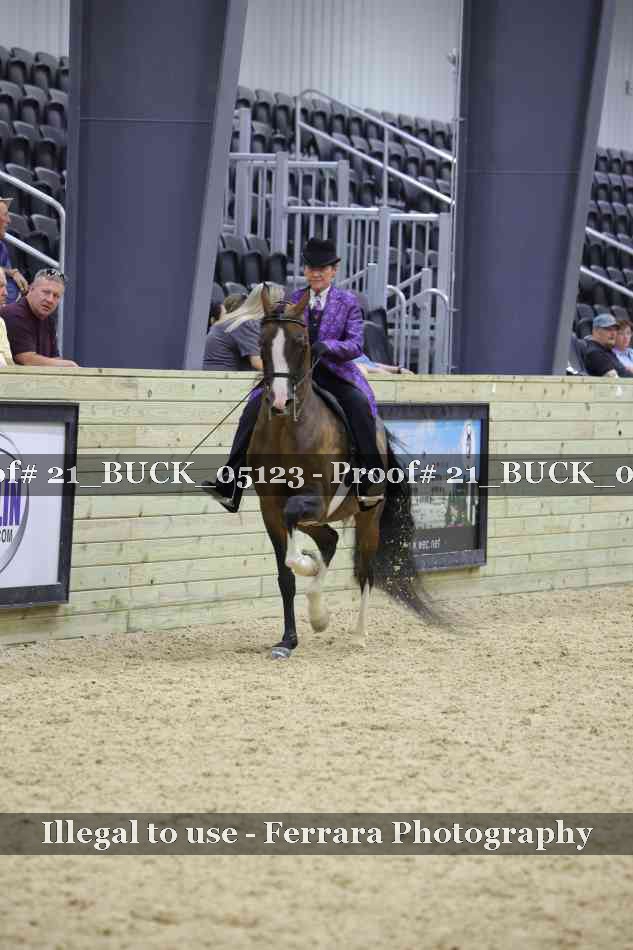 Proof 21_BUCK_05123