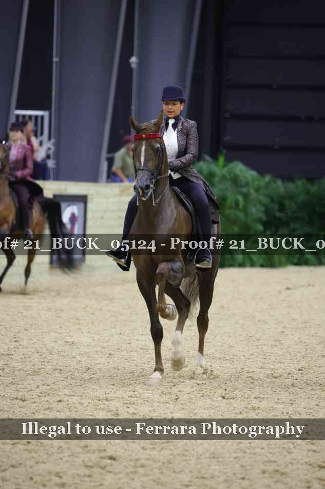 Proof 21_BUCK_05124