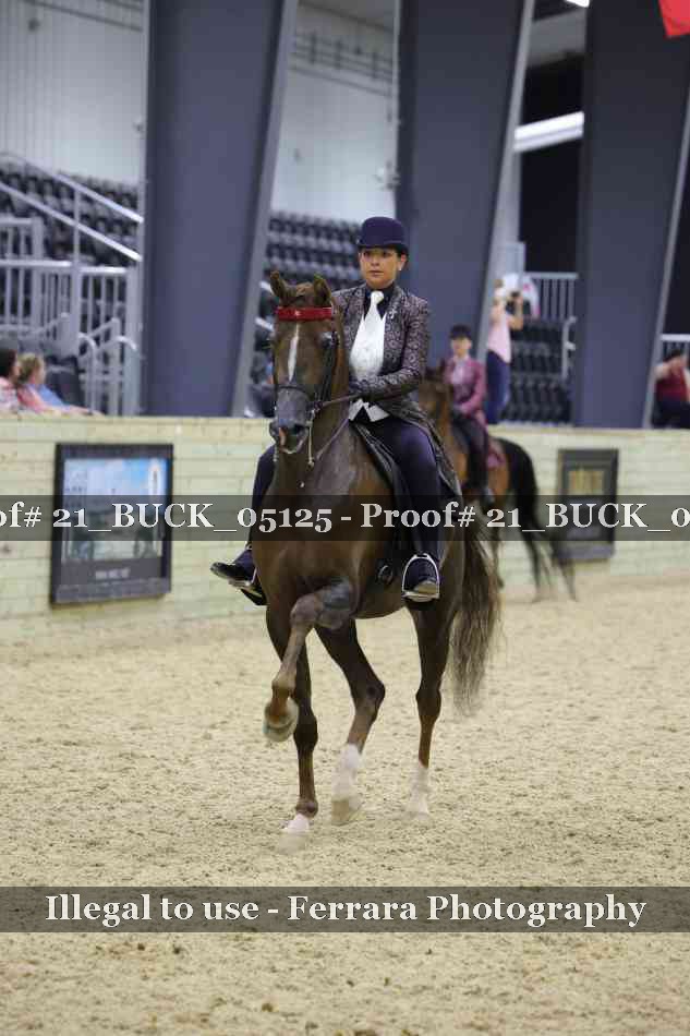 Proof 21_BUCK_05125