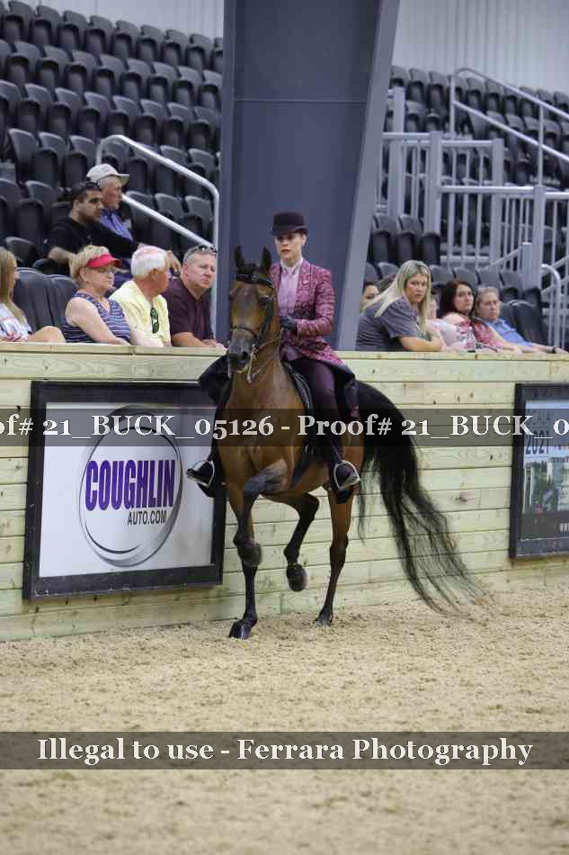 Proof 21_BUCK_05126