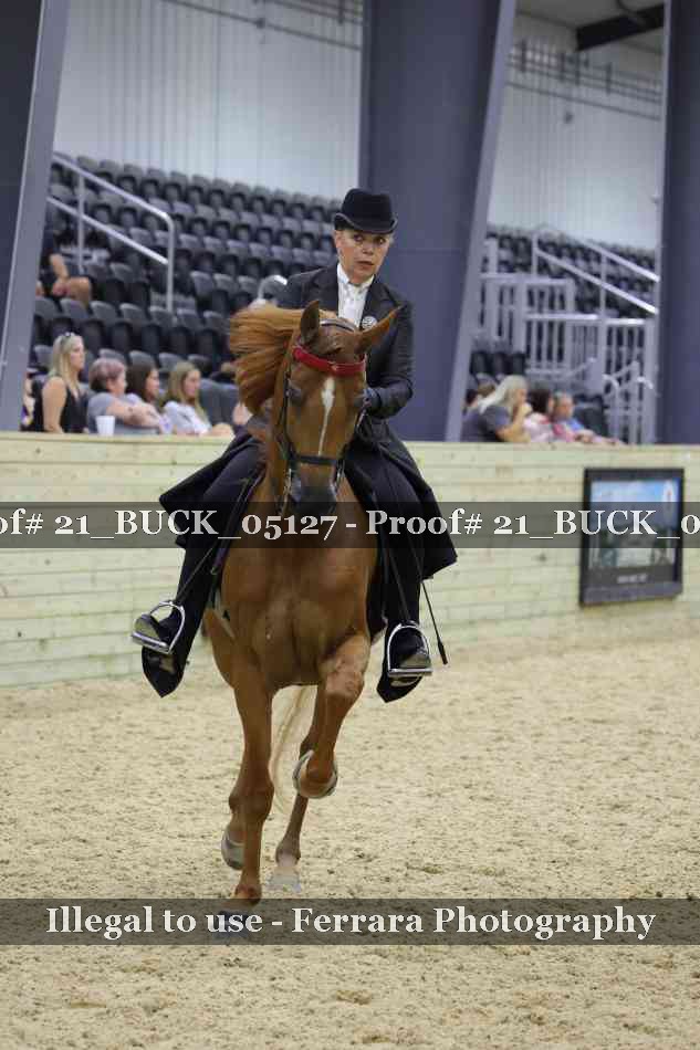Proof 21_BUCK_05127