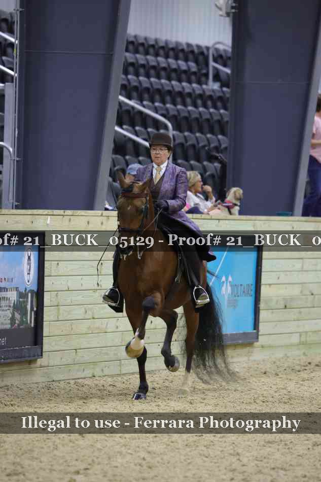 Proof 21_BUCK_05129
