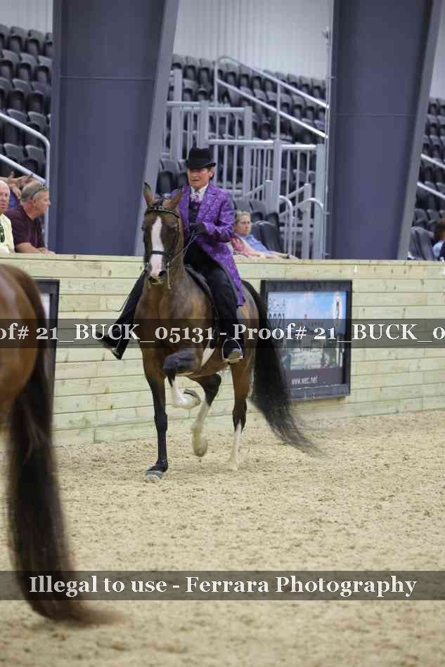 Proof 21_BUCK_05131