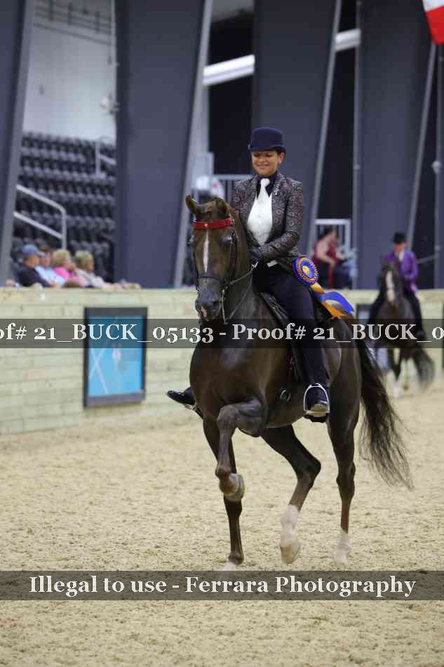 Proof 21_BUCK_05133