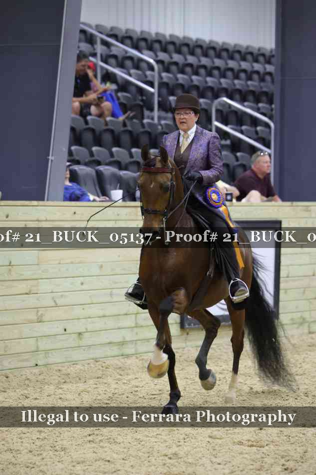 Proof 21_BUCK_05137