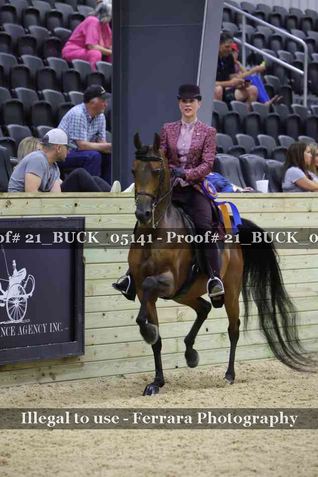 Proof 21_BUCK_05141