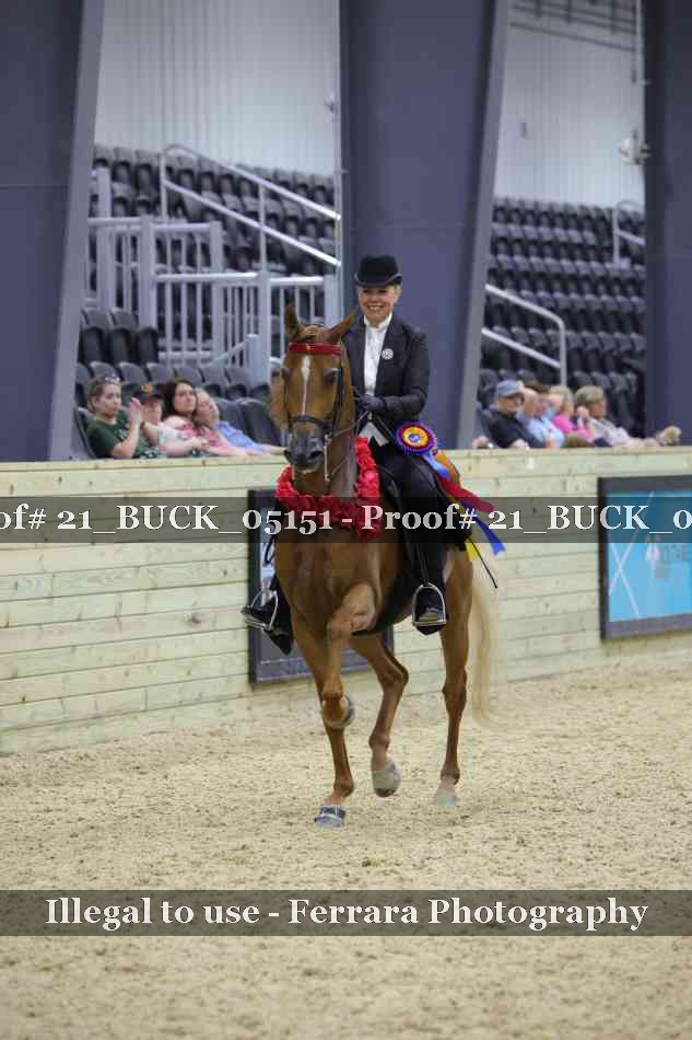 Proof 21_BUCK_05151