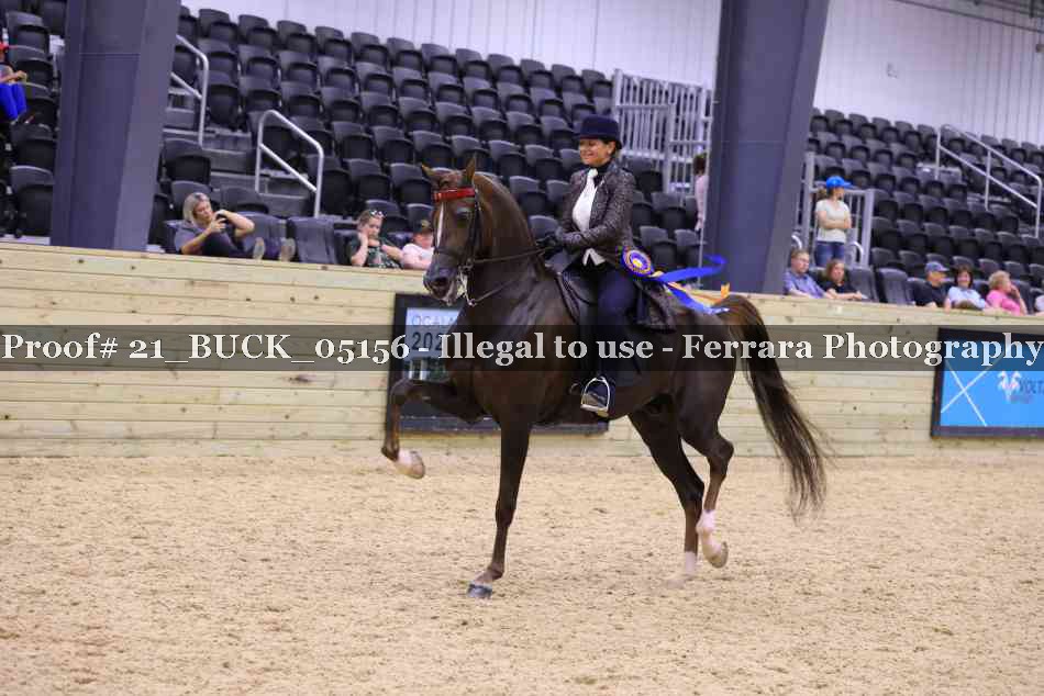 Proof 21_BUCK_05156