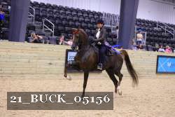 21_BUCK_05156 proof
