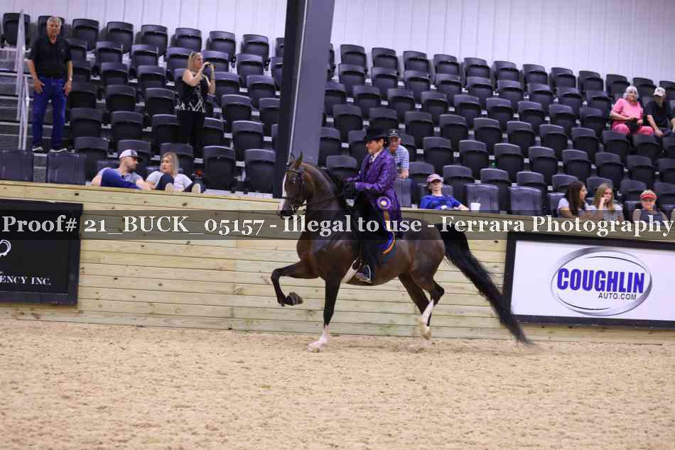 Proof 21_BUCK_05157