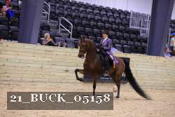 21_BUCK_05158 proof