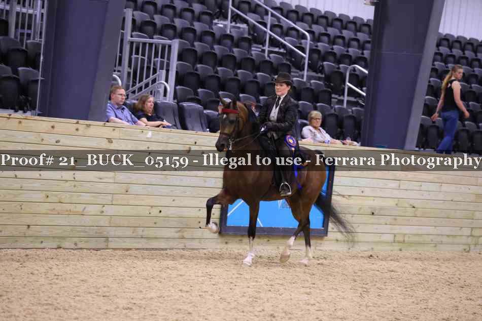 Proof 21_BUCK_05159