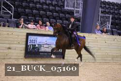 21_BUCK_05160 proof