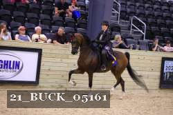 21_BUCK_05161 proof