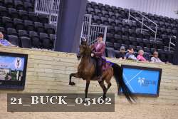 21_BUCK_05162 proof