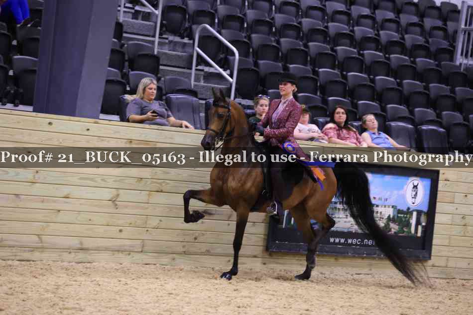 Proof 21_BUCK_05163