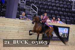 21_BUCK_05163 proof