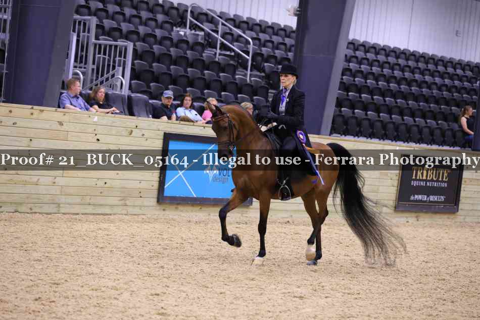 Proof 21_BUCK_05164