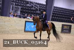 21_BUCK_05164 proof
