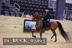 21_BUCK_05165 proof