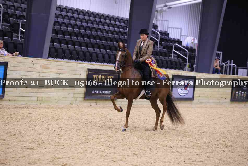 Proof 21_BUCK_05166