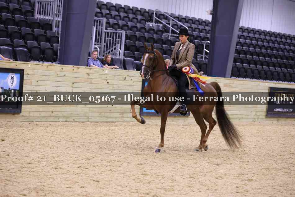 Proof 21_BUCK_05167