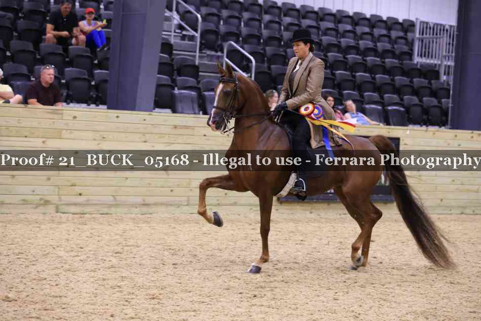 Proof 21_BUCK_05168