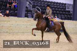 21_BUCK_05168 proof
