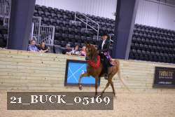 21_BUCK_05169 proof