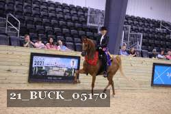 21_BUCK_05170 proof