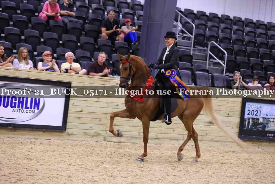 Proof 21_BUCK_05171