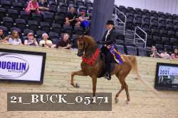 21_BUCK_05171 proof